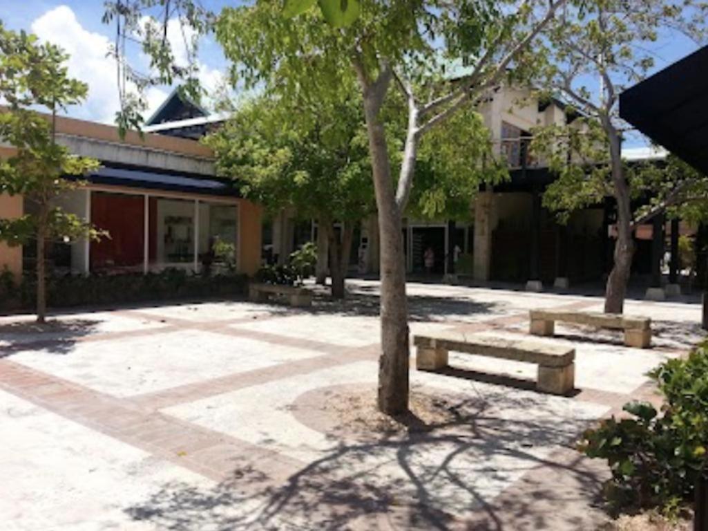 New Marvelous Cap Cana With Outdoor Terrace And Private Pool Apartment Punta Cana